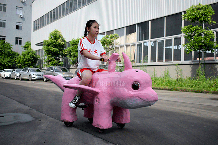 海豚沒(méi)牙仔電動(dòng)童車出廠測(cè)試