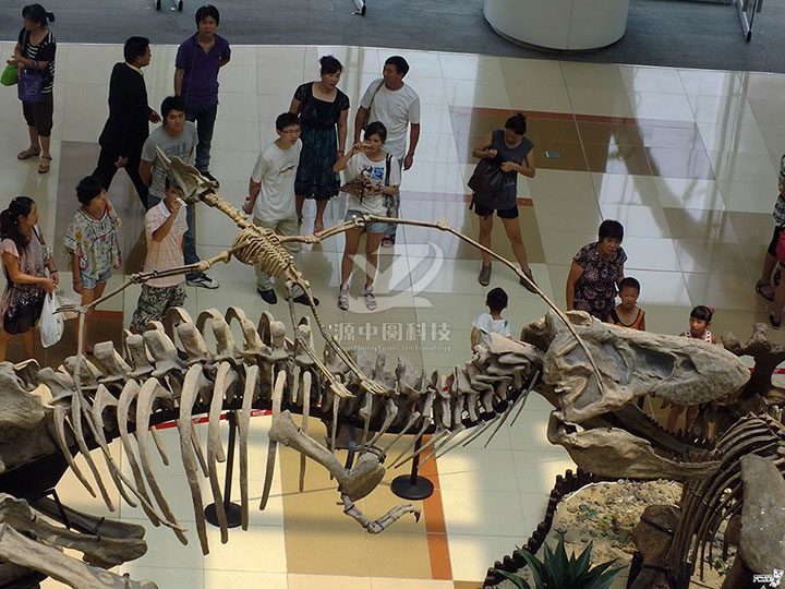 恐龍骨骼雕塑，恐龍化石展